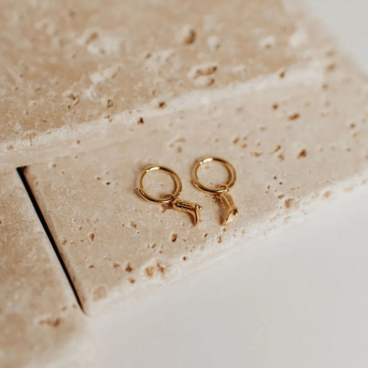 DSC_3117 - Dream Dragons