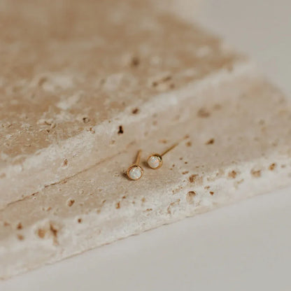 DSC_3163 - Dream Dragons