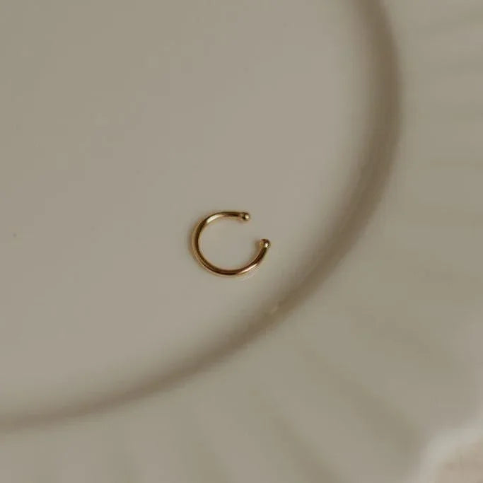 DSC_3249 - Dream Dragons