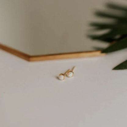 DSC_3352 - Dream Dragons