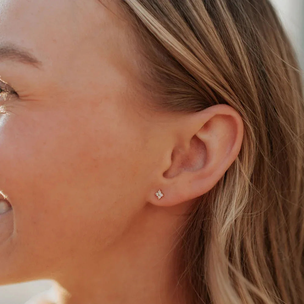 DSC_3394 - Dream Dragons