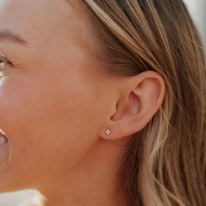 DSC_3394 - Dream Dragons