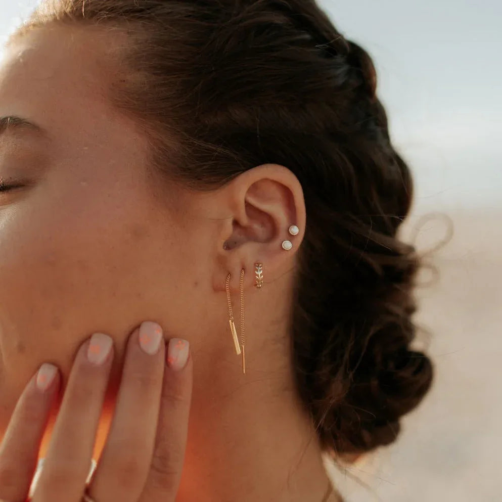 DSC_3665 - Dream Dragons