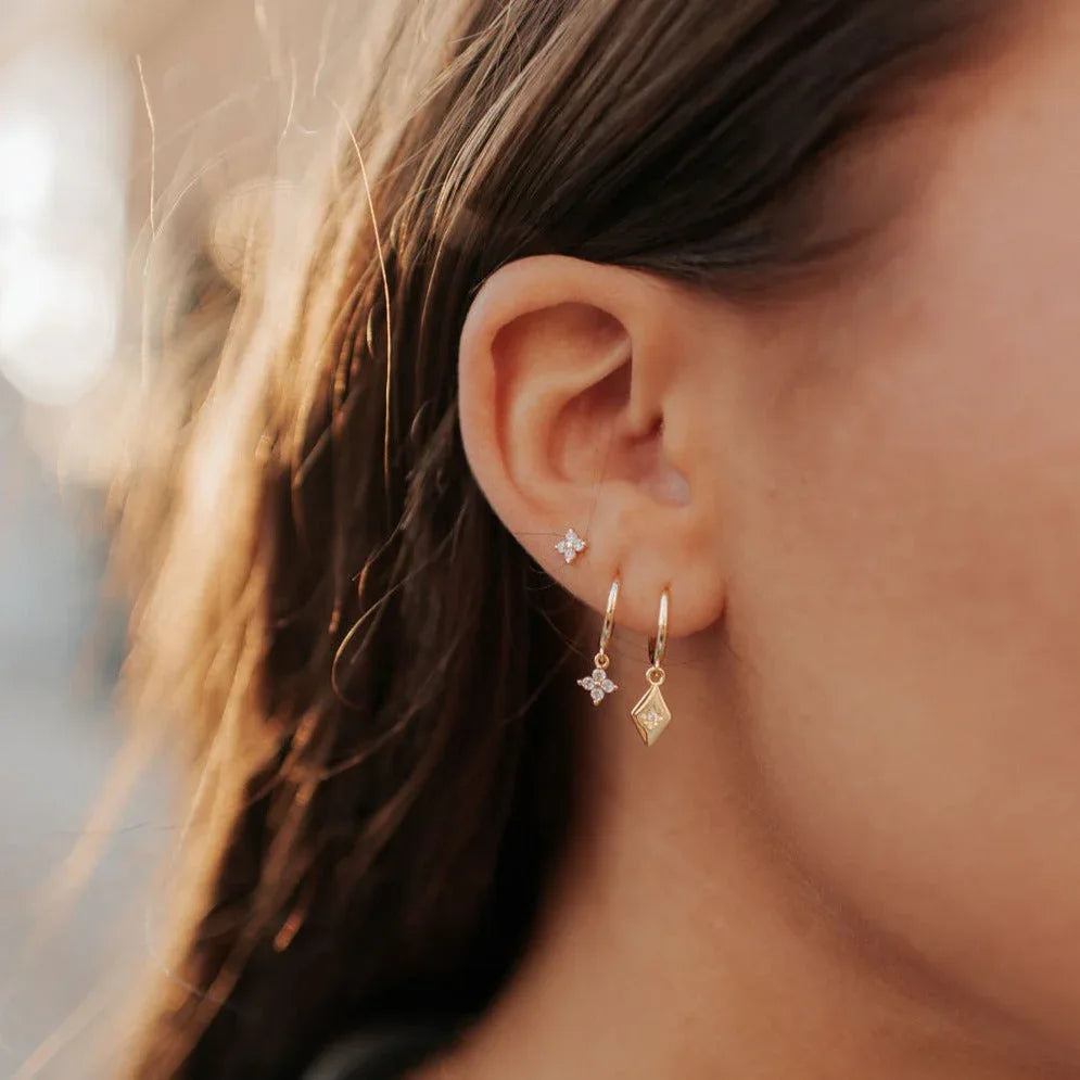 DSC_4126 - Dream Dragons