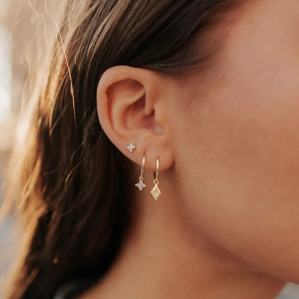 DSC_4128 - Dream Dragons