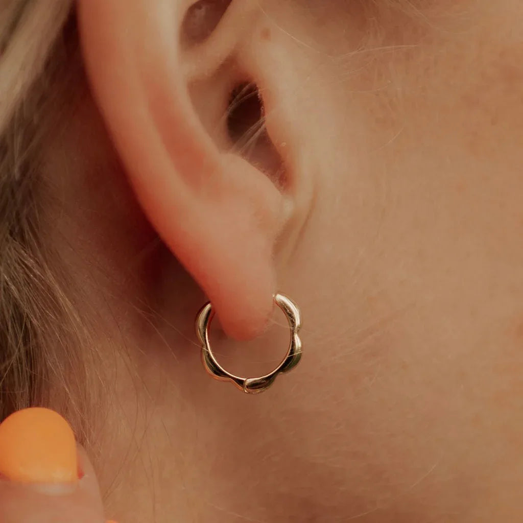 DSC_4242_ac7fd255-8182-4fa5-bb7c-bb5cda066481 - Dream Dragons