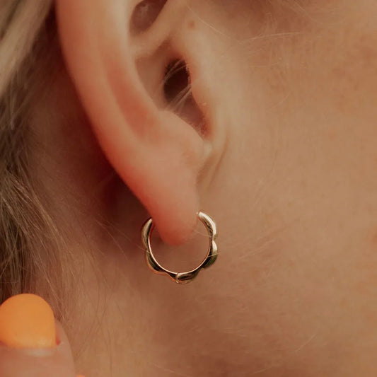 DSC_4242_ac7fd255-8182-4fa5-bb7c-bb5cda066481 - Dream Dragons