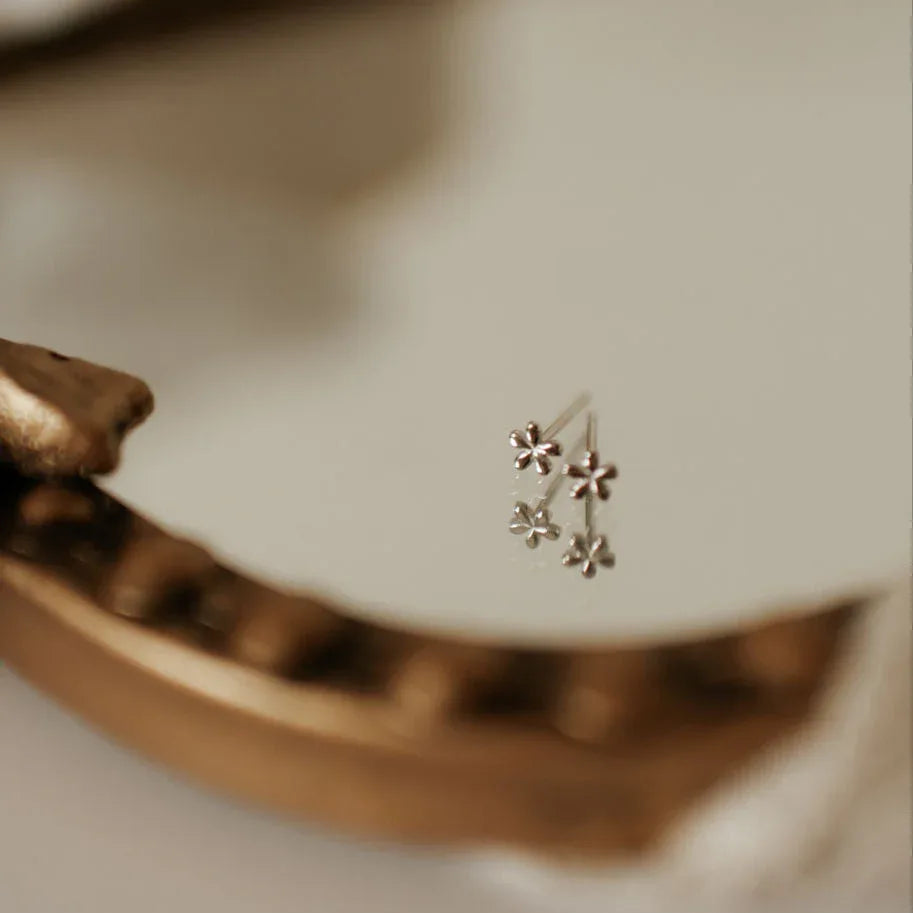 DSC_4563 - Dream Dragons