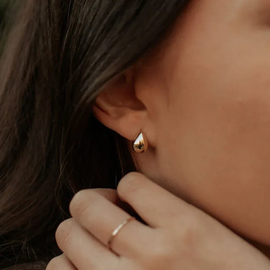 DSC_5592-2 - Dream Dragons