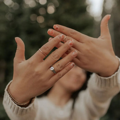 DSC_5834-2 - Dream Dragons