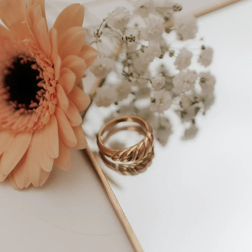 DSC_6205-2 - Dream Dragons