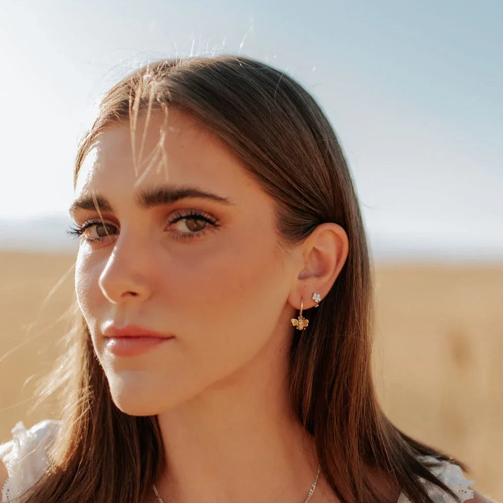 DSC_6467-2 - Dream Dragons