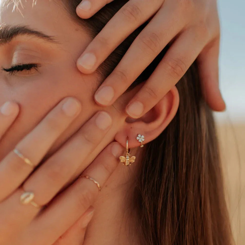 DSC_6482 - Dream Dragons