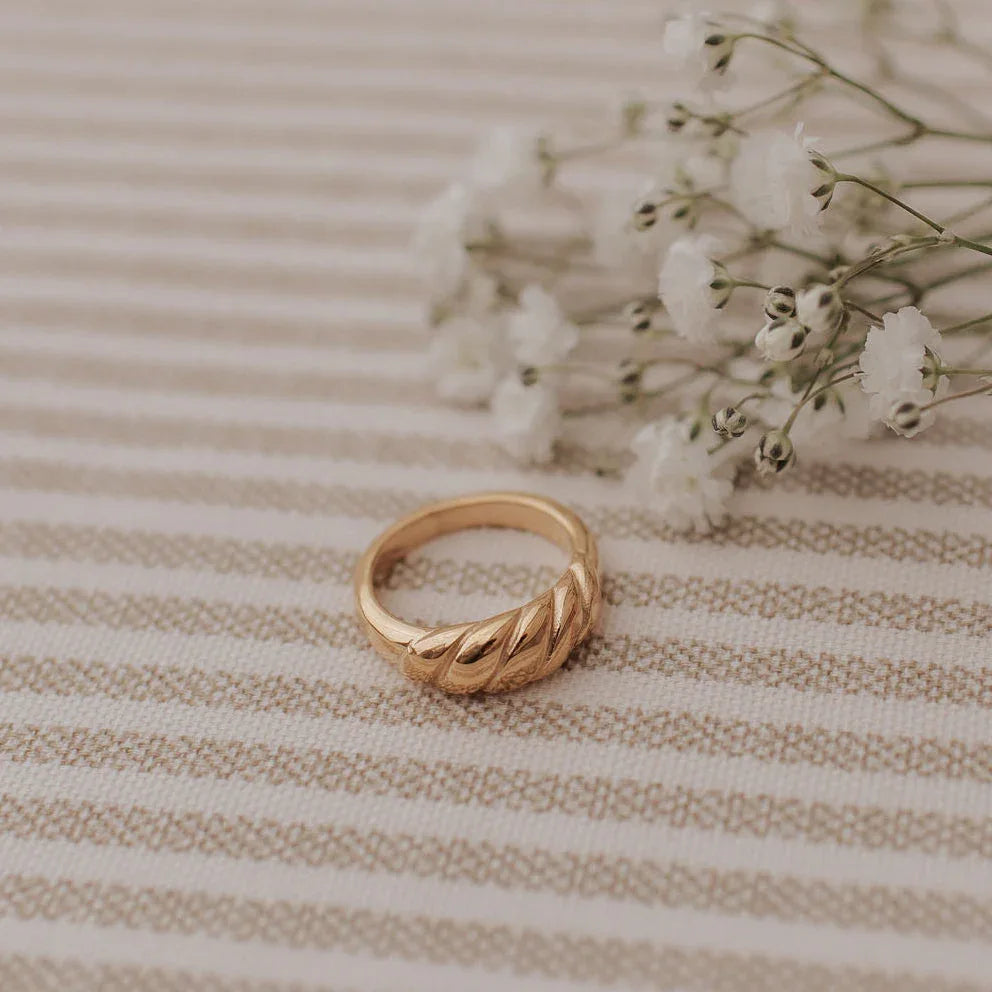 DSC_6565 - Dream Dragons