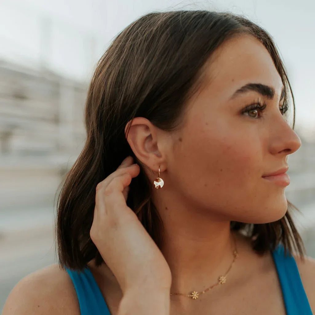 DSC_7745-2 - Dream Dragons