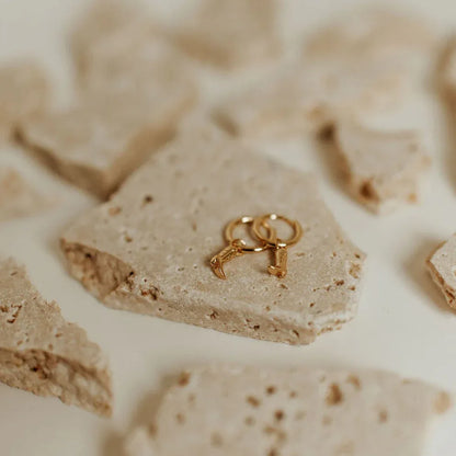 DSC_7828 - Dream Dragons