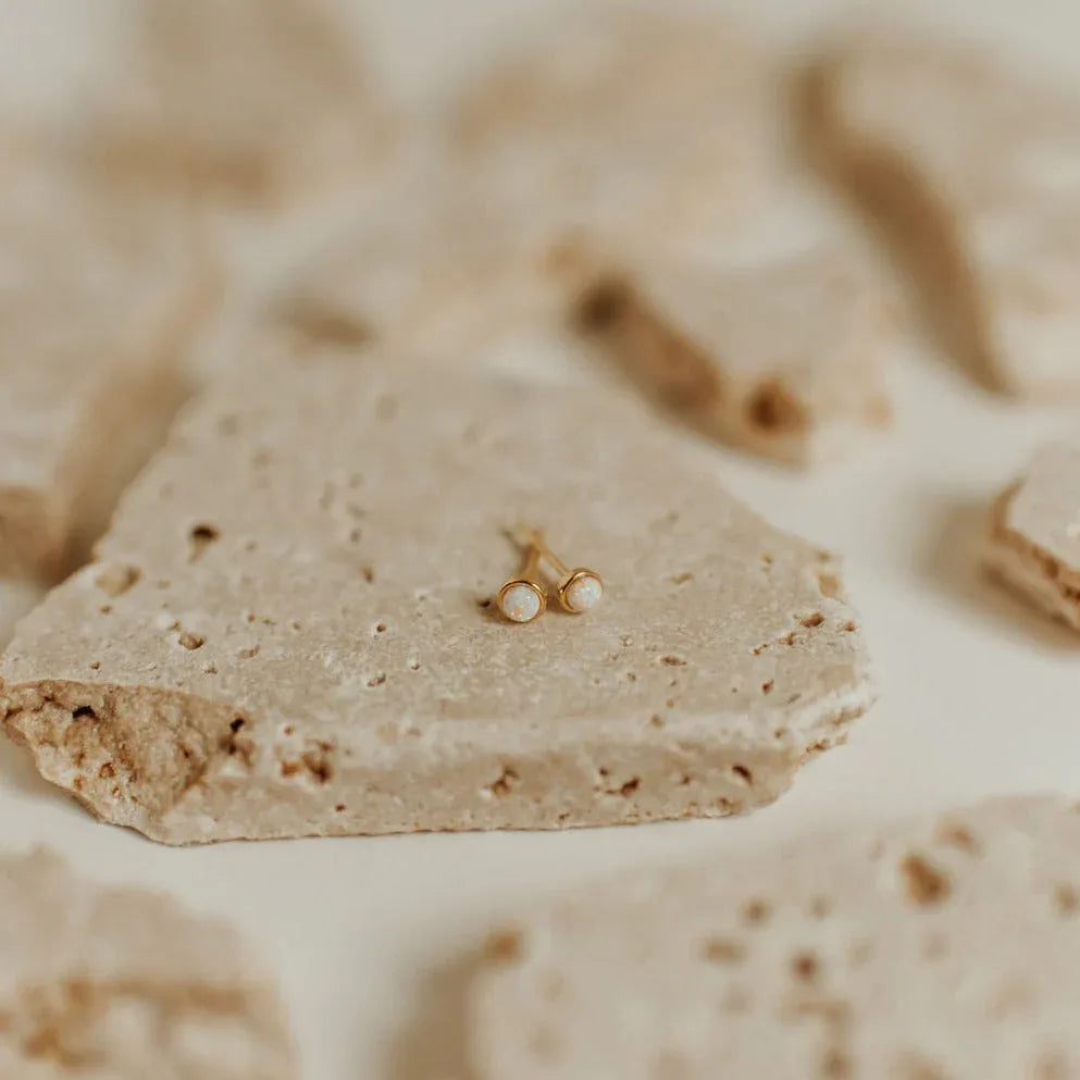 DSC_7829 - Dream Dragons