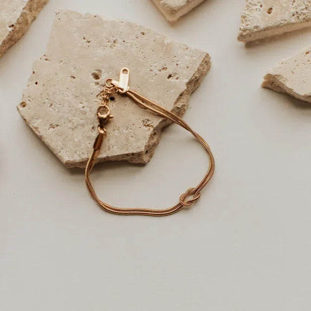 DSC_7884 - Dream Dragons