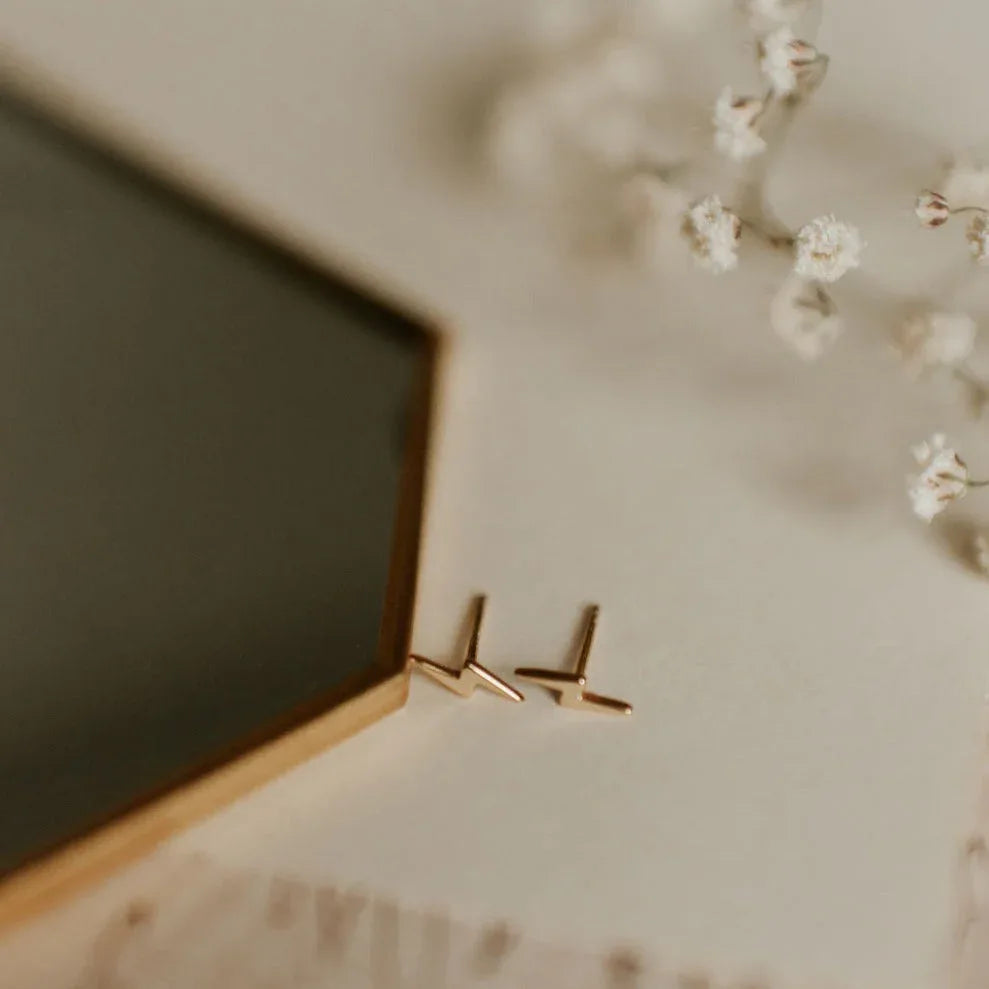 DSC_9536 - Dream Dragons