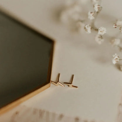 DSC_9536 - Dream Dragons