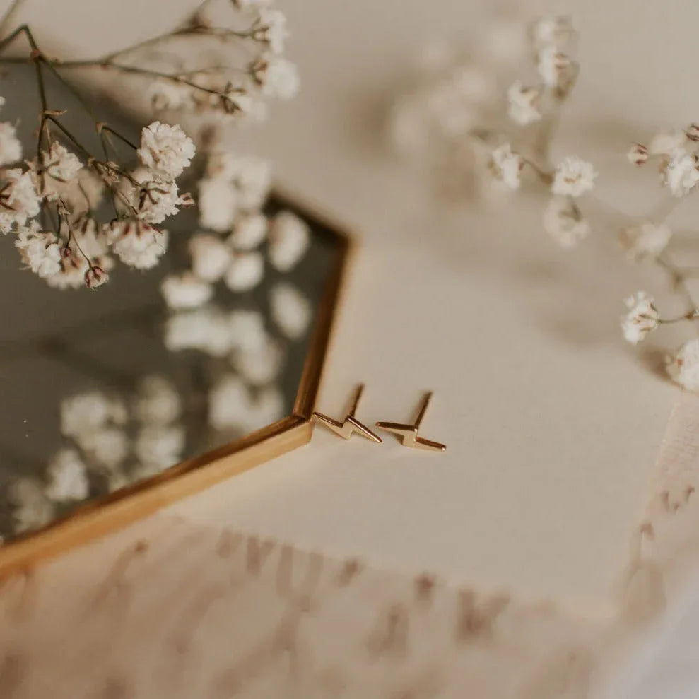 DSC_9538 - Dream Dragons