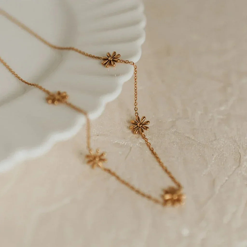 DSC_9828 - Dream Dragons