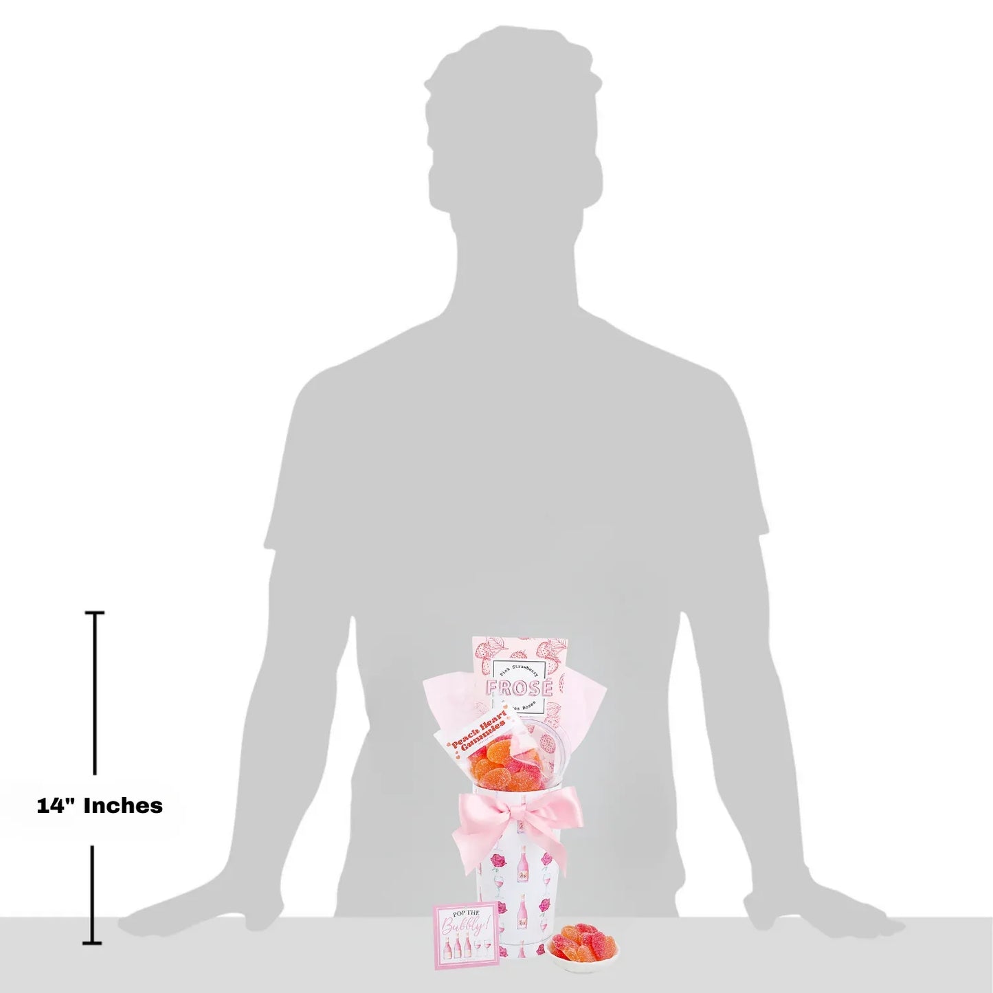 FG04233_GM - Dream Dragons