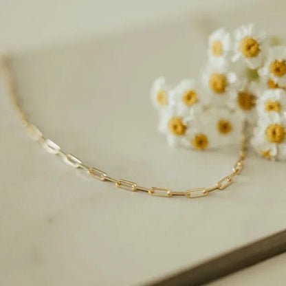 IMG_2886 - Dream Dragons