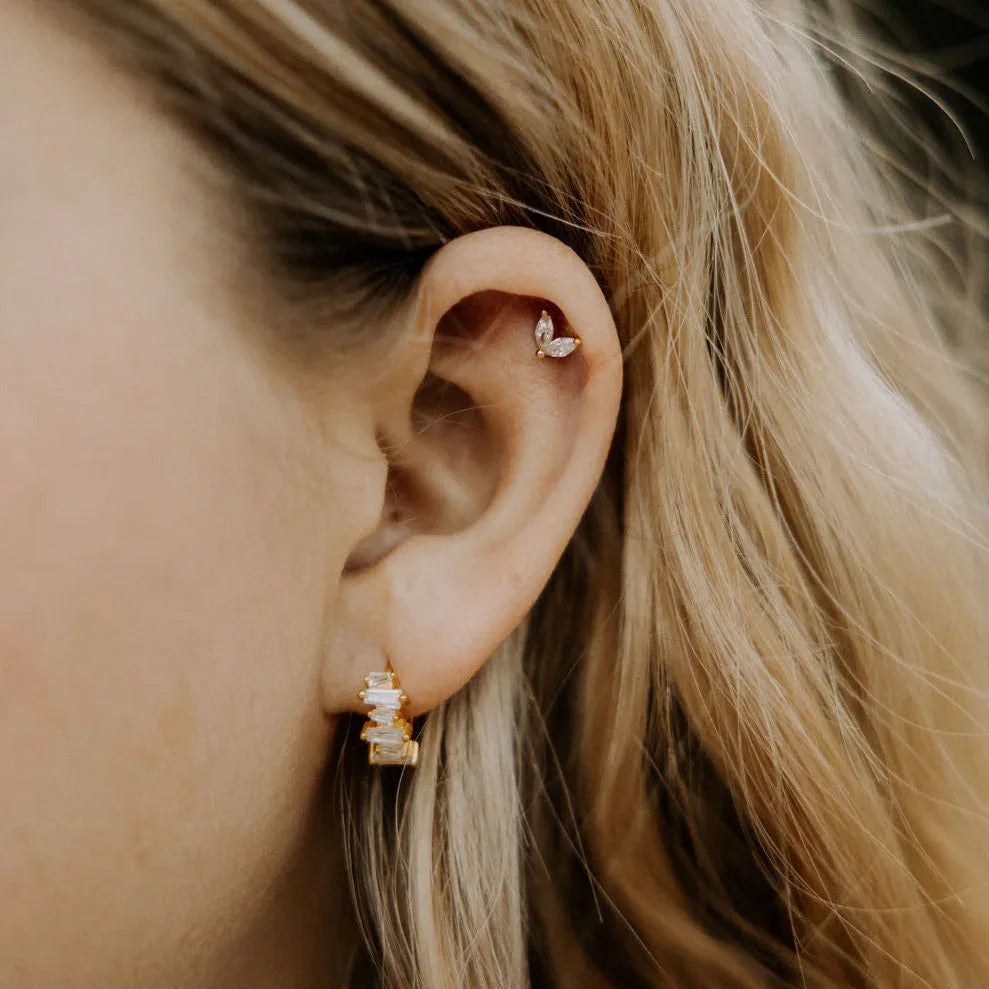 IMG_4074 - Dream Dragons