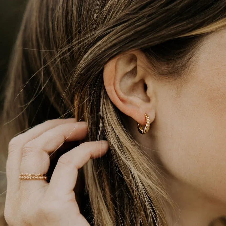 IMG_4188 - Dream Dragons