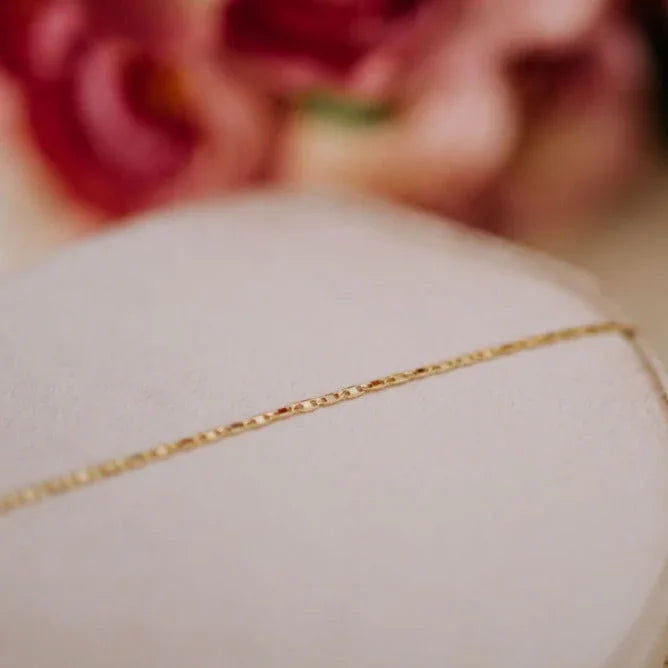 IMG_4947 - Dream Dragons