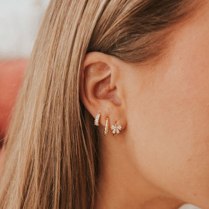 Mauve-120_2b78ad34-8cb1-419f-b1f3-62e9b2d620c3 - Dream Dragons