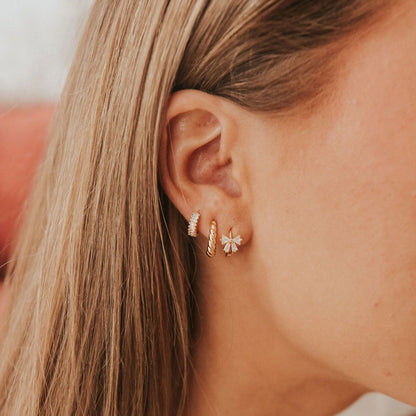 Mauve-120_fa2c24d1-7c53-4001-838c-5208c74a529f - Dream Dragons