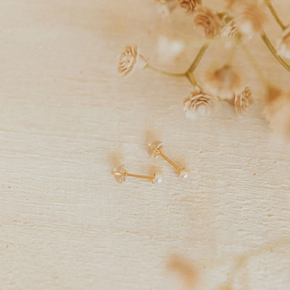 Mauve-271 - Dream Dragons