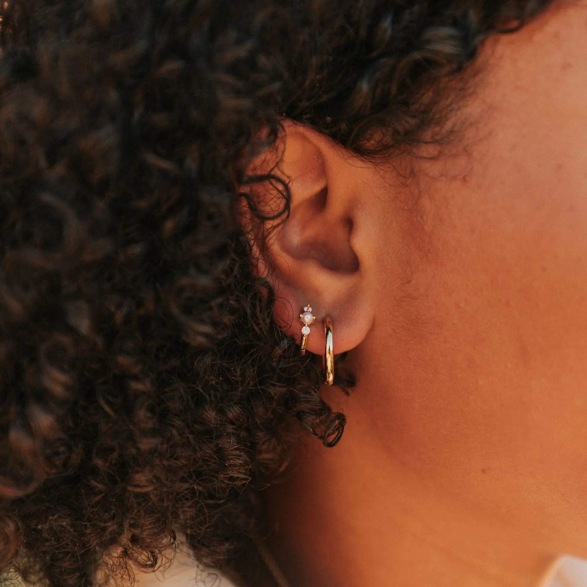 Mauve-49 - Dream Dragons