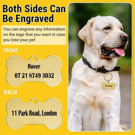 il_fullxfull.6810010930_ndzu - Dream Dragons